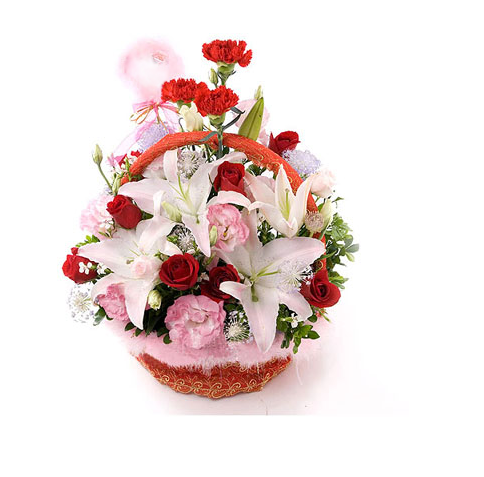 黎明重工 一對一導師